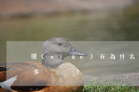現(xiàn)在為什么打官司的人越來越多？